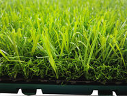 Polipropylenowa nawierzchnia zewnętrzna o długiej żywotności Anti Peel With Artificial Grass